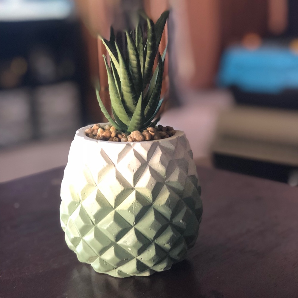 Fake potted succulent